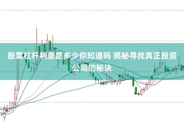 股票杠杆利息是多少你知道吗 揭秘寻找真正投资公司的秘诀