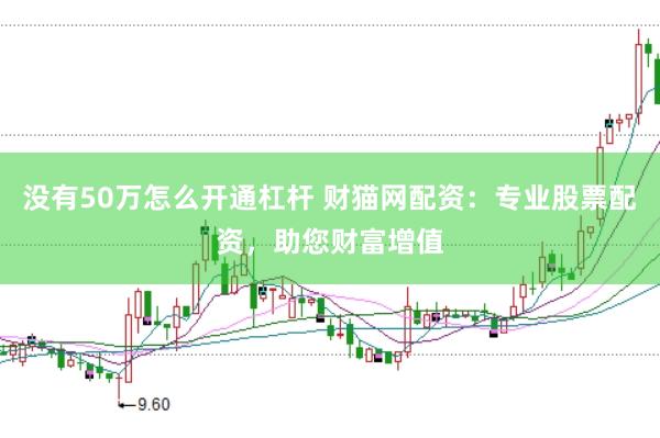 没有50万怎么开通杠杆 财猫网配资：专业股票配资，助您财富增值