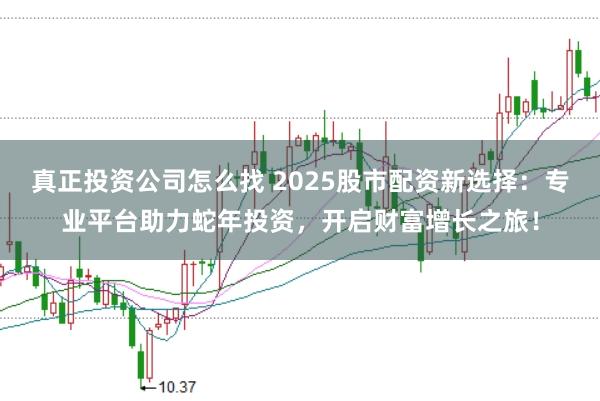 真正投资公司怎么找 2025股市配资新选择：专业平台助力蛇年投资，开启财富增长之旅！
