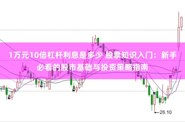 1万元10倍杠杆利息是多少 股票知识入门：新手必看的股市基础与投资策略指南
