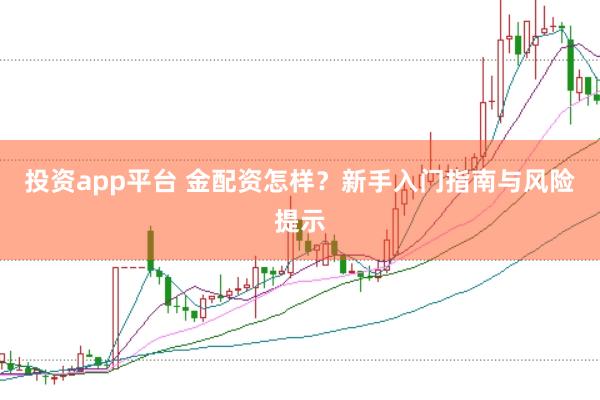 投资app平台 金配资怎样？新手入门指南与风险提示