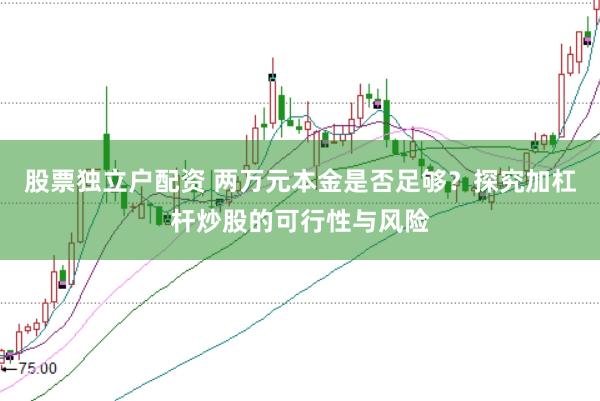 股票独立户配资 两万元本金是否足够？探究加杠杆炒股的可行性与风险