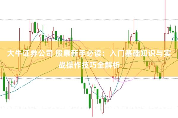 大牛证券公司 股票新手必读：入门基础知识与实战操作技巧全解析