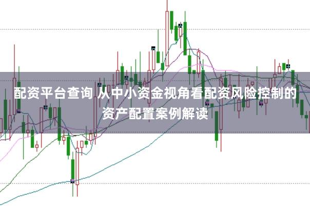 配资平台查询 从中小资金视角看配资风险控制的资产配置案例解读