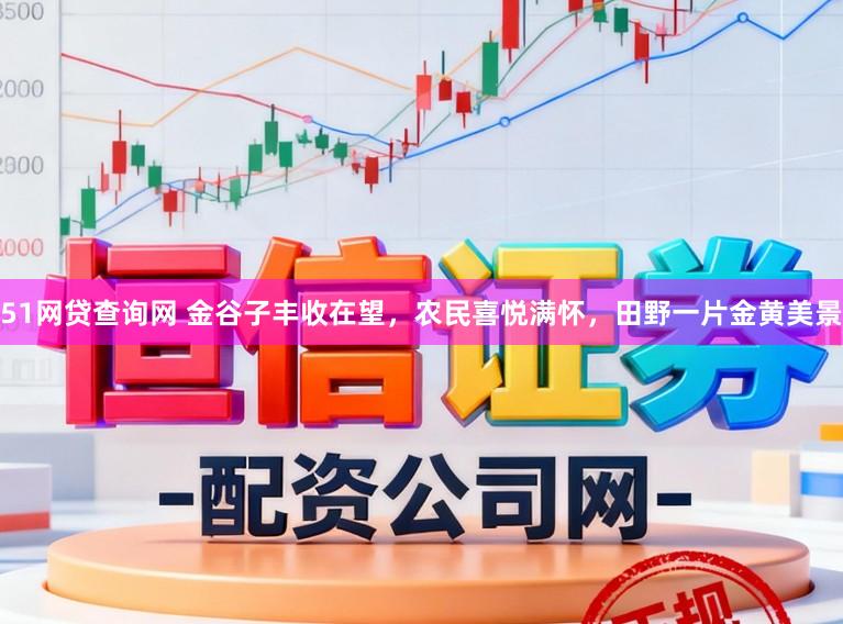51网贷查询网 金谷子丰收在望，农民喜悦满怀，田野一片金黄美景
