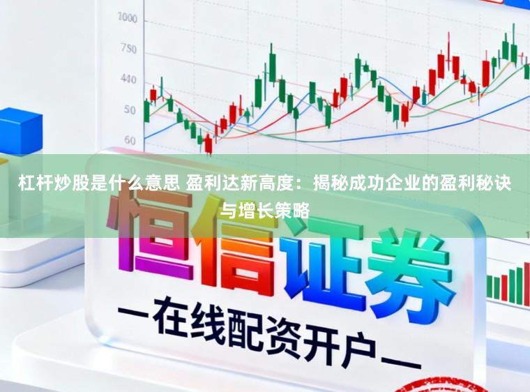 杠杆炒股是什么意思 盈利达新高度：揭秘成功企业的盈利秘诀与增长策略