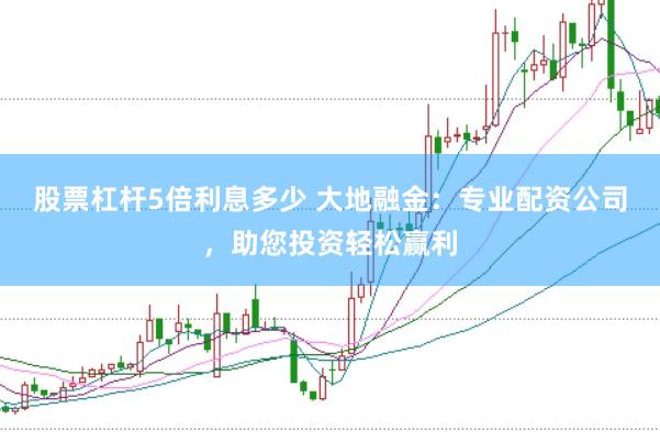 股票杠杆5倍利息多少 大地融金：专业配资公司，助您投资轻松赢利